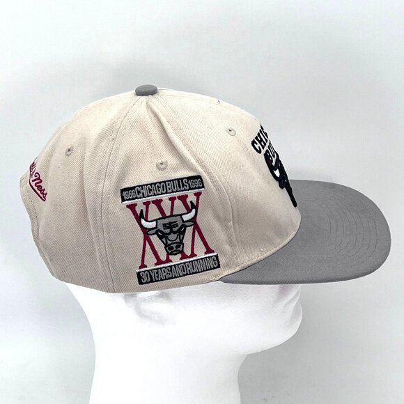 Mitchell & Ness Chicago Bulls 30th Anniversary Cap Hat Adjustable Snapback 1996 - Picture 3 of 16